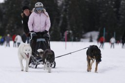 Lenzerheide 2013